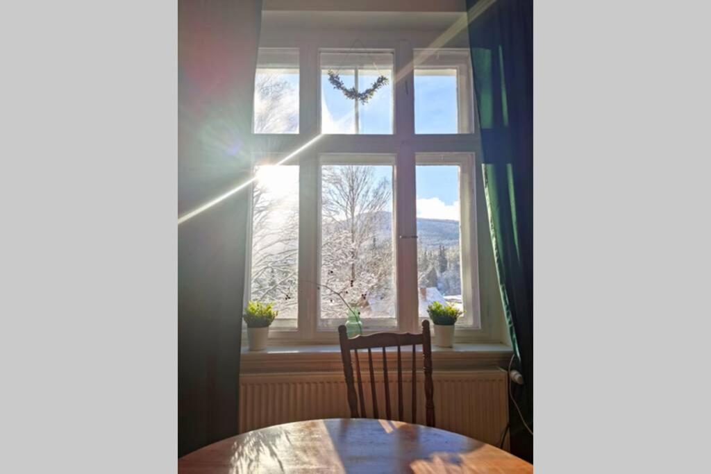 Apartment Marcowka M4 - Duzy W Historycznej Willi Z Ogrodem *